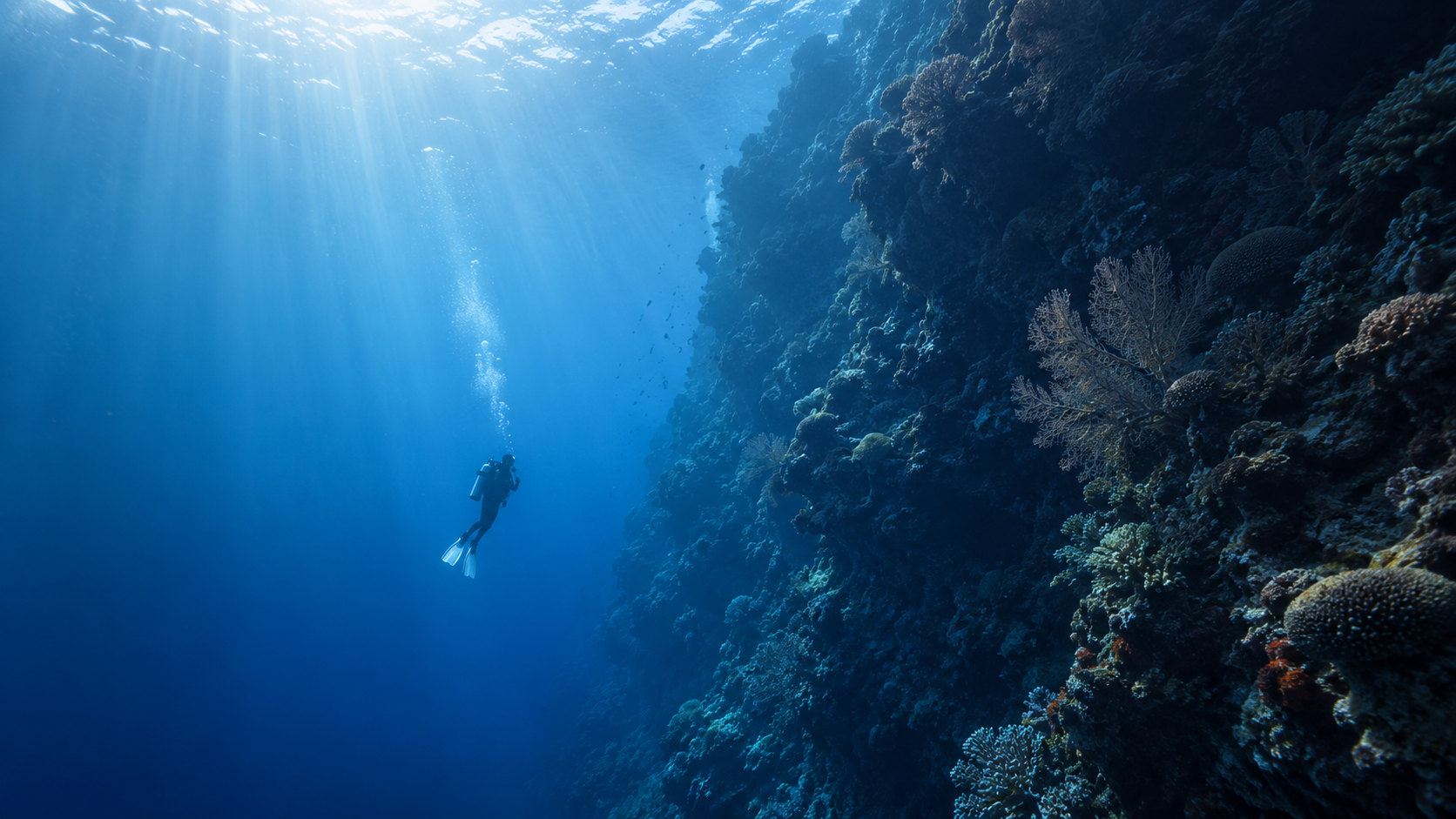 Deep Diving Changed How I Plan Dives