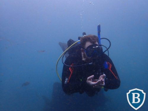 08111786