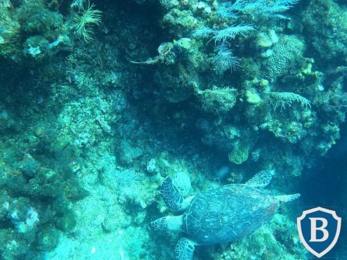 IMG-20251206-WA0073