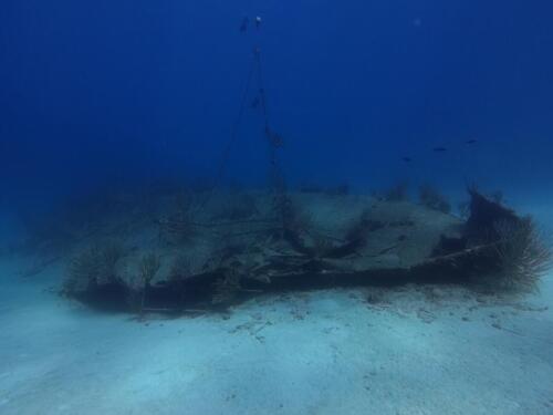 IMG_20261014_140323_554.jpg