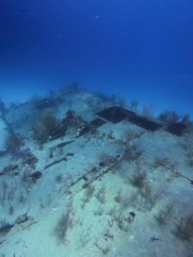 IMG_20261014_140407_557.jpg