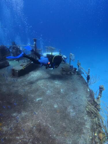 IMG_20261014_140720_567.jpg