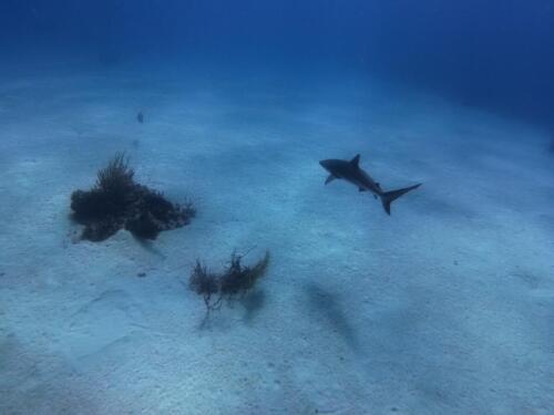 IMG_20261014_141710_600.jpg